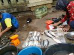 ikan-sepat_20160921_200120.jpg