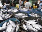 ikan-tangkap-ok.jpg