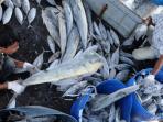 ikan-tangkapan-nelayan_20161115_191151.jpg