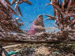 ikan-teri-olahan-layeun_20180116_223137.jpg