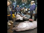 ikan-tuna-dari-bali-dilelang-di-gifu-jepang_20180105_112142.jpg