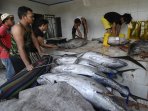ikan-tuna-kualitas-ekspor_20150304_125331.jpg