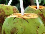 ilustrasi-air-kelapa.jpg