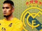 ilustrasi-alphonse-areola.jpg