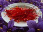 ilustrasi-bunga-saffron-s.jpg