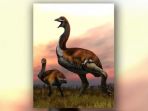 ilustrasi-burung-gajah-dan-anaknya_20180927_084022.jpg