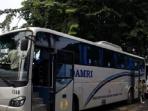 ilustrasi-bus-damri_20150713_071342.jpg