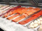 ilustrasi-daging-ikan-new.jpg