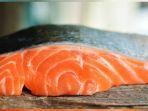 ilustrasi-daging-salmon.jpg