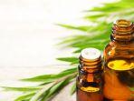 ilustrasi-essential-oil-ok1.jpg