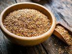 ilustrasi-flax-seed.jpg