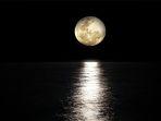 ilustrasi-gerakan-bulan.jpg