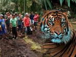 ilustrasi-harimau-sumatera-dan-perugas-gabungan-bbksda-riau_20180405_172349.jpg