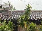 Prakiraan Cuaca Cirebon Sabtu, 11 April 2026: Hujan Ringan Guyur Semua Wilayah Akhir Pekan ini