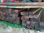 ilustrasi-kayu-ilegal_20180830_091049.jpg