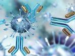ilustrasi-koktail-antibodi-antibody-cocktail.jpg