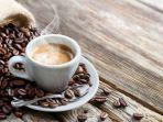 ilustrasi-kopi-dshah.jpg