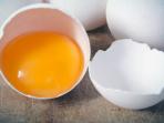 ilustrasi-kuning-telur_20141112_150350.jpg