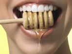 ilustrasi-madu-untuk-bibir_20171122_165745.jpg