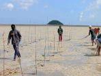 ilustrasi-mangrove-15-agustus.jpg