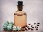 ilustrasi-minyak-jarak-atau-castor-oil.jpg