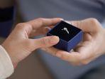 ilustrasi-momen-lamaran-dengan-memberikan-cincin.jpg