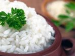 ilustrasi-nasi-putih_20170531_093716.jpg