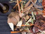ilustrasi-obat-herbal-sido-muncul.jpg
