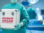 ilustrasi-organ-ok-9211.jpg