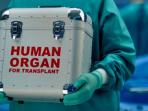 ilustrasi-organ-tubuh_20160519_082153.jpg