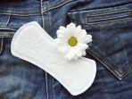 ilustrasi-pantyliner2.jpg