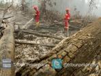 ilustrasi-pemadaman-hutan-lahan_20151028_165645.jpg