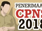 ilustrasi-pendaftaran-cpns-2018_20180920_134339.jpg