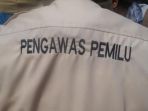 ilustrasi-pengawas-pemilu_20181018_162934.jpg