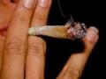 ilustrasi-pesta-ganja.jpg