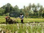 ilustrasi-petani-menggarap-sawah.jpg