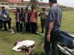 ilustrasi-petani-meninggal-sujud.jpg