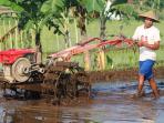 ilustrasi-petani_20150527_160133.jpg