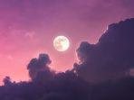 ilustrasi-pink-moon-7tvu.jpg