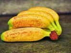 ilustrasi-pisang-mas.jpg