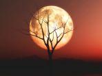 ilustrasi-red-moon-saat-terjadi-gerhana-bulan-total.jpg