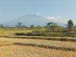 ilustrasi-sawah-kering.jpg