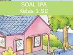 ilustrasi-soal-ipa-pat-kelas-1-sd.jpg