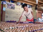 ilustrasi-telur-ayam_20161209_190421.jpg