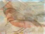 ilustrasi-tes-kepribadian-dari-gambar-hewan_20181008_121408.jpg