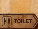 ilustrasi-toilet_20150222_203306.jpg
