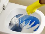 ilustrasi-toilet_20170513_201536.jpg