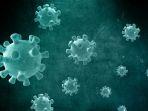 ilustrasi-virus-6434566.jpg