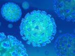 ilustrasi-virus-corona-2.jpg