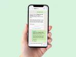 ilustrasi-whatsapp-business-platform.jpg